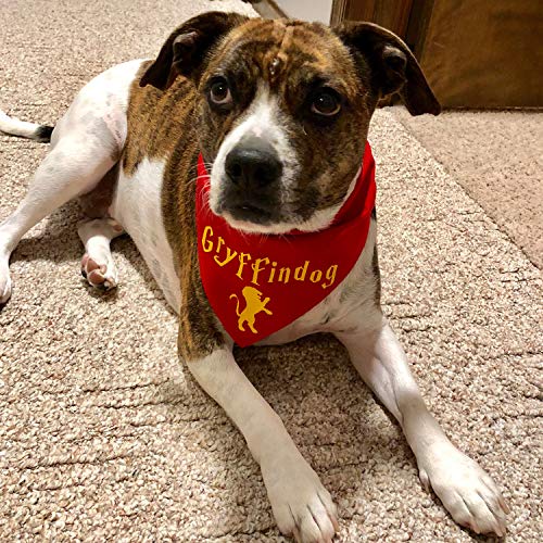 5 VINYL+FROG+Transfer+Garments+Fabrics