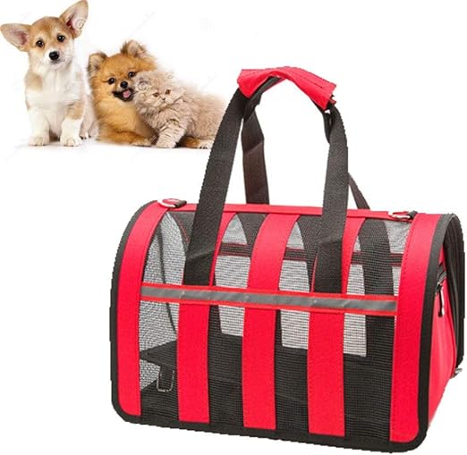 silver shaded siberian cat