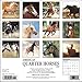 American Quarter Horses 2017 Wall Calendar