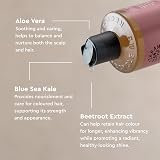 Urtekram Colour Preserve Shampoo Wild Rose 500 ml Vegan Organic view 5
