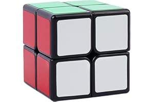 GoodCube 2x2 Cube Toys Puzzle, Black
