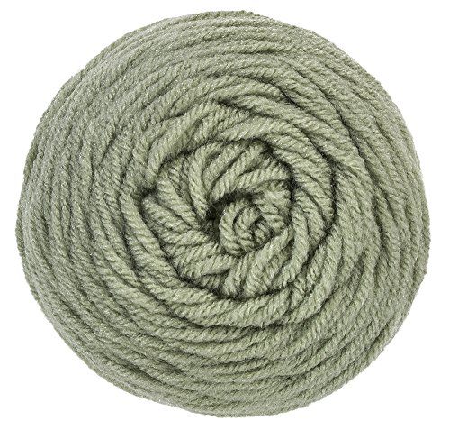 RED HEART Super Saver Yarn, Frosty Green