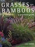 Grasses and Bamboos: A Practical Guide by 