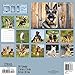 German Shepherds Wall Calendar (2017)