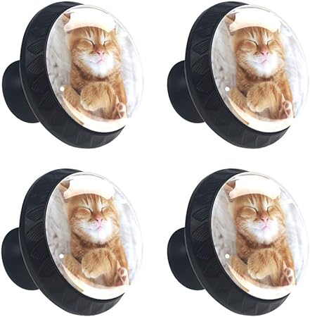 Sleeping Kitty Orange Pet Animal Drawer Knob Pull Handle Crystal