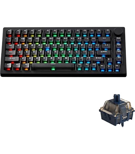 Amazon.com: MONSGEEK M3 V5 HE Rapid Trigger Gaming Keyboard Quick