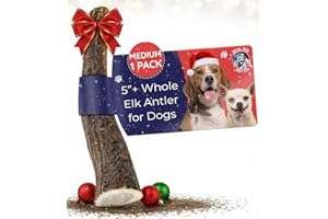 Devil Dog Pet Co. Elk Antlers for Dogs, Medium 5"+, 1 Pack, Grade A Long Lasting Chew for Aggressive Chewers, Premium USA Naturally Shed Antler – Healthy, No Odor, Durable Dog Chew