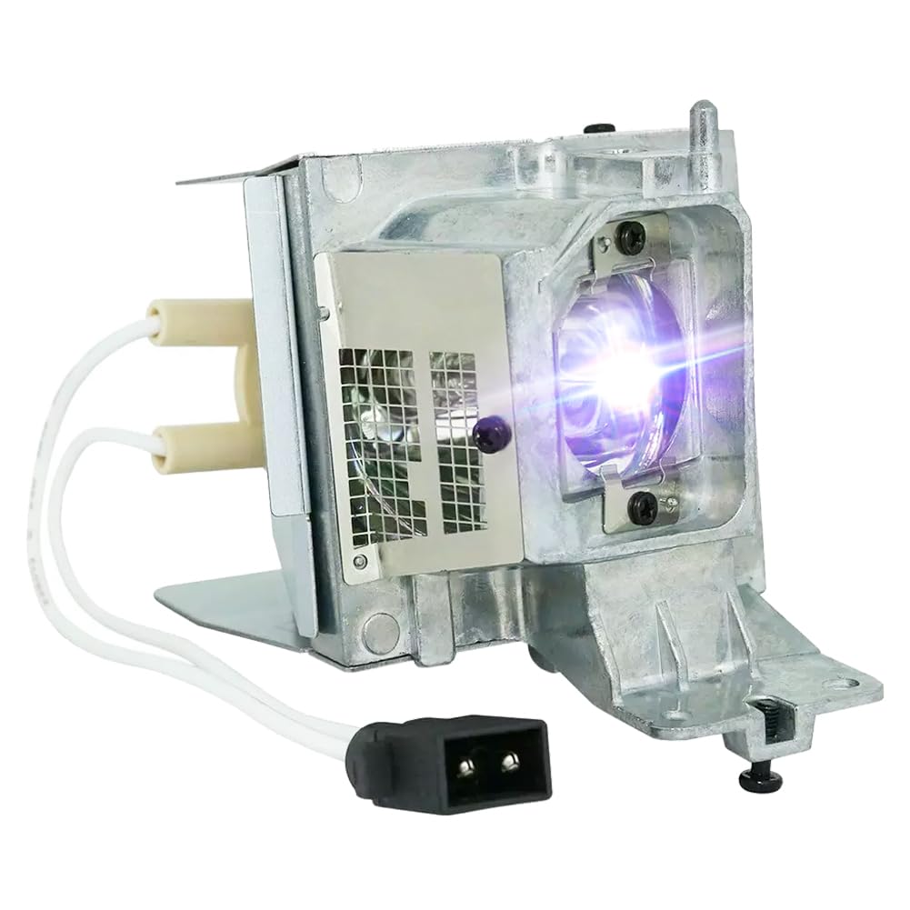 iReijomoi Replacement Lamp BL-FU260C SP.72Y01GC01 Bulb with Housing for OPTOMA DH400 DH401 DU380 EH416 W416 WU416 X416 DU400 EH416e Projectors