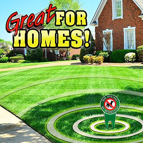 4 Bundle+Peeing+Pooping+Respectful+Politely