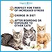Lysine for Cats - Best L-lysine Powder Supplement - Human Grade All Natural Immune System Support - Helps Maintain Eye & Respiratory Health - 900mg Per Serving - 8oz - Made in The USA