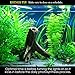 Rhinox Easy CO2 Tablets - Make Your Aquarium Plants Beautiful & Healthy - Economical, Toxin-Free, Savvy Carbon Dioxide Supplement for Fish and Planted Tanks - 36 Pills per Pack