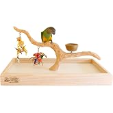 Deluxe Tabletop Perfect Tree (with Bowl) - Tree Stand for Parakeets and Small Parrots