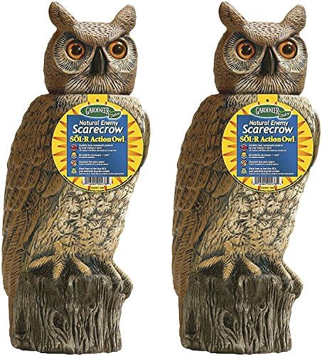 Gardeneer By Dalen Natural Enemy Scarecrow SOL-R Action Owl (Pack of 2)