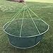 Foldable Fishing Net Hand Net - Crab Net Fish Net with Fishing Rope for Fishes, Shrimps, Crabs (Green, Top Dia:39.37