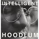 Intelligent Hoodlum