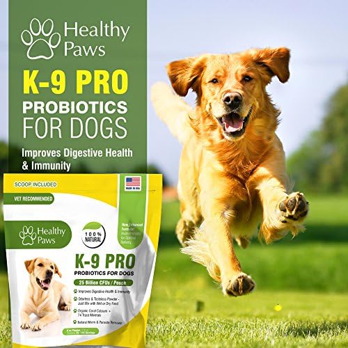 PRO5 Probiotic For Dogs - NEW Enhanced Formula With Prebiotics - Odorless &amp;Tasteless