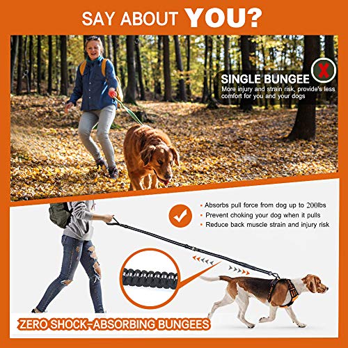 Heavy Duty Dog Leash, JUNBEI 6 Ft Double Padded Handles Reflective Dog