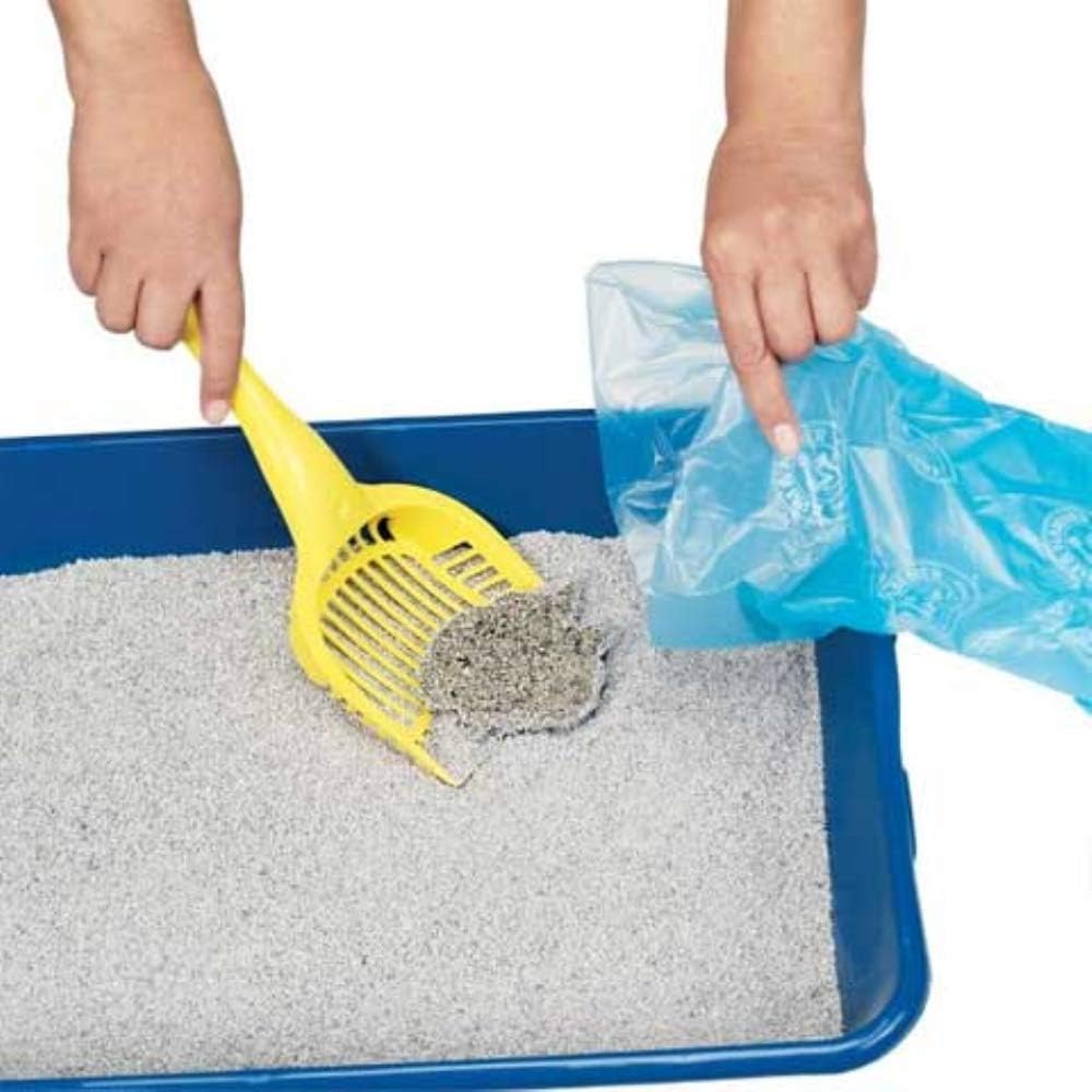 Arm & Hammer Easy-Tear Disposable Waste Bag Refills Assorted Colors Various Multi-packs Available : Pet Waste Bags : Pet Supplies