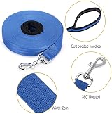 Vivifying 10m Nylon Long Line Dog Leash with Padded Handle (Blue) view 2