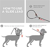 Fida Slip-on Dog Lead 1.8m Reflective Training No Collar Required view 6