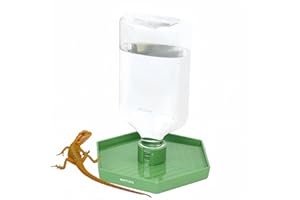 MRTIOO 17oz Terrarium Tank Reptile Food Feeders Bowl, Water Feeder Automatic Water Dispenser Waterer Feeding Accessories, for Geckos Lizards Turtle Bearded Dragons (Green)