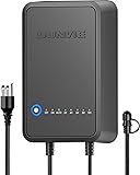 SUNVIE 100W Low Voltage Landscape Transformer