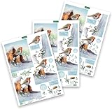 Katy Sue 3D Die-Cut Decoupage Pack Christmas Robins 12 A4 Sheets view 5