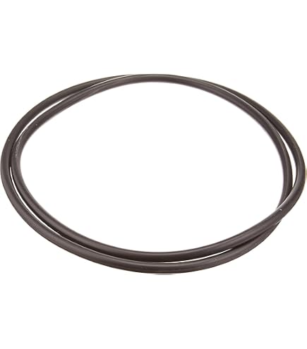 SPX5500D Poolpumpendeckel Mit Sicherungsring & O-Ring – Ersatzteil Kompatibel Mit Hayward Matrix Pumpen & Filtern, Hochwertig & Dicht