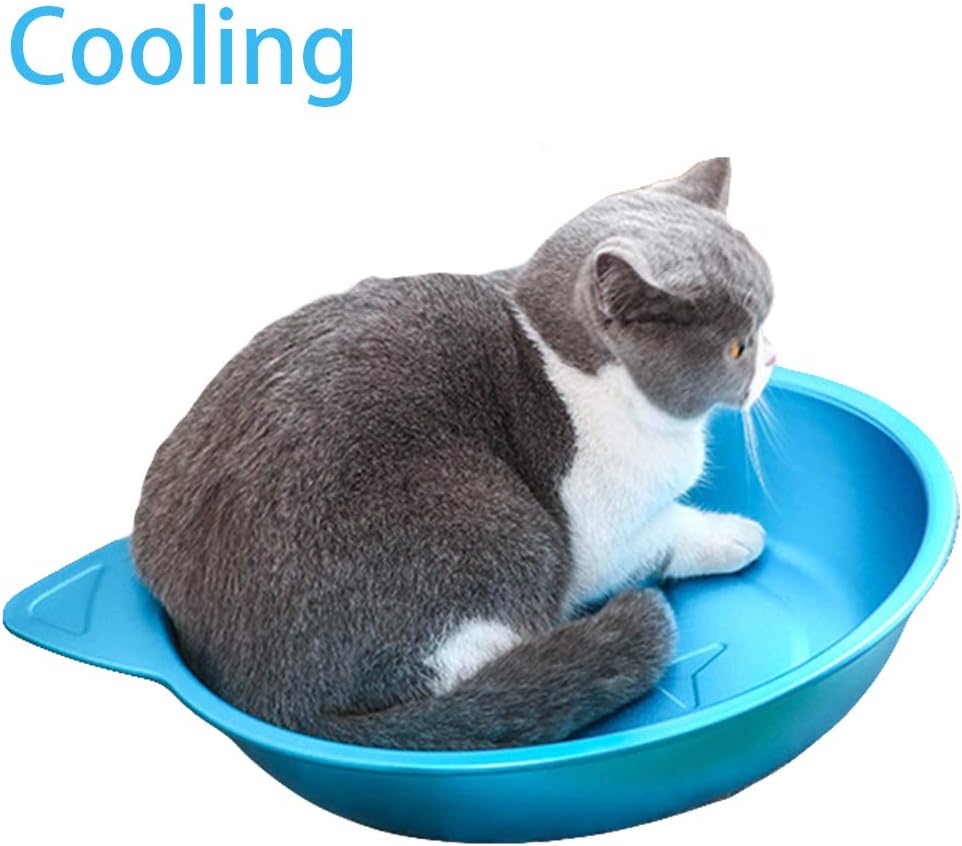 dog bed with food bowl