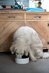 Petface Bone Ceramic Dog Bowl Cream Navy 20cm view 2