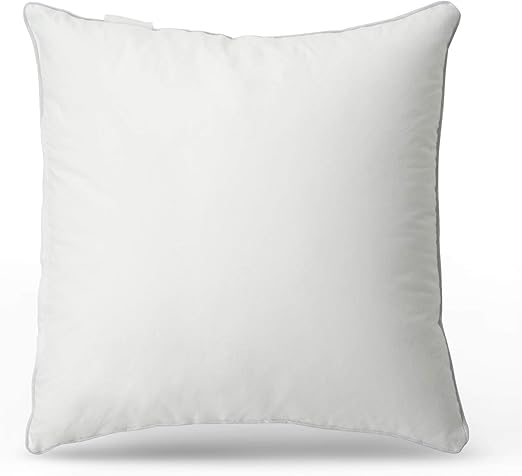 Amazon Com Leeden 16 X 16 Pillow Inserts Set Of 1 Throw
