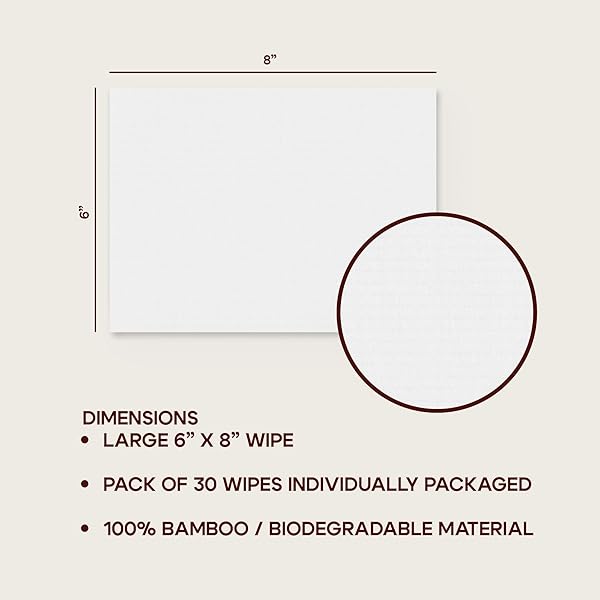 LIV LINEN – BAMBOO DEODORANT WIPES – 30 COUNT – INDIVIDUALLY PACKAGED – AROMATHERAPY SCENT (ALOE)
