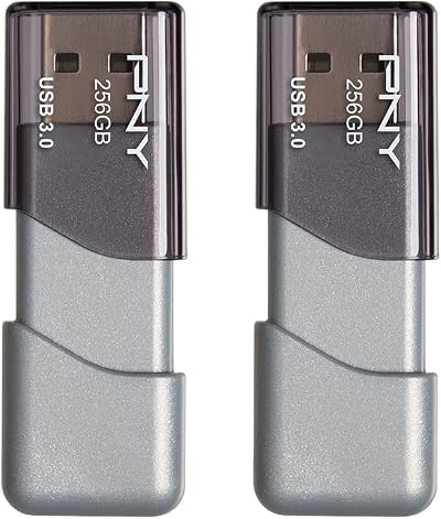 PNY 256GB Turbo Attaché 3 USB 3.0 Flash Drive Silver (2 Pack)