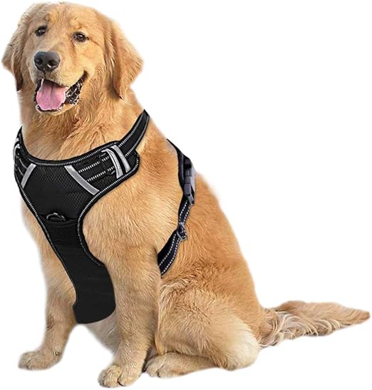 20 perfect fit dog harness