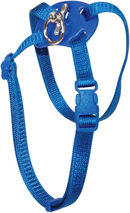 figure eight cat harness