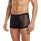 SUMABA Men's Sexy Mesh Underwear Briefs See Through Sheer Boxer Briefs with Pouch