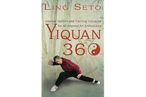 Yiquan 360: Internal Factors and Training Concepts for All Internal Art Enthusiasts