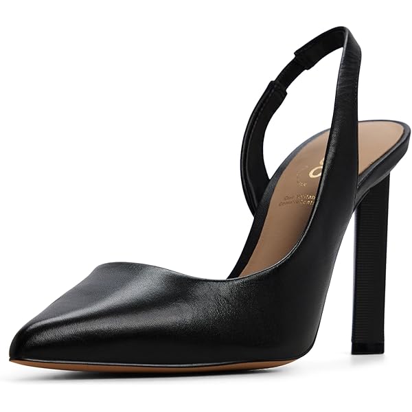 Amazon.com | ALDO Women's Kaiaria Pump, Black, 5 | Pumps
