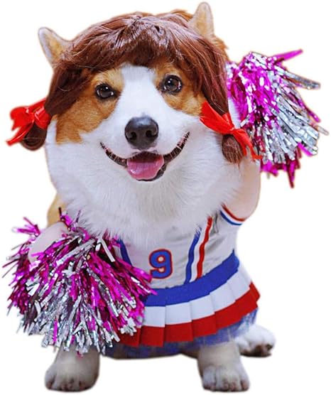 Runjuwuye Drole Chien Chat Costumes Cosplay Costume Vetements Pour Animaux Halloween Uniforme Vetements Pour Chiot Chiens Costume Pour Un Chat Amazon Fr Animalerie