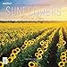 2016 Sunflowers Wall Calendar