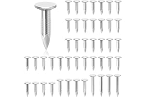 Glarks 300Pcs 3/4inch Steel Roofing Nails - Zinc Plated Felt Pins, Clout Nails With Countersunk Head for Securing Shed Roofs,