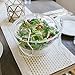 iKitchenPlus Iced Salad Bowl with Servers - Entertain With Ease - Keep Your Food Safe, Dishes Fresh and Great Tasting While Enjoying Quality Time with Your Friends & Family This Holiday Season