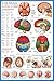 The Brain Anatomy Poster