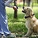 Pethree Dog Training Collar Rechargeable and Rainproof 660yd Remote Dog Shock Collar For 2 Dogs with Tone, Vibration and Shock Electronic Collar
