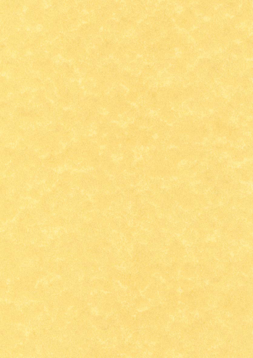 Decadry pcl1676 Box of 50 Sheets A4 165 g Parchment Gold