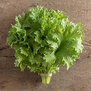 David's Garden Seeds Mustard Greens Wasabina 9933 (Green) 200 Non-GMO, Open Pollinated Seeds