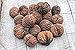 NEW Missouri Harvest 2017 Fresh Whole Black Walnuts 1 Pound In Shell Organic Perfect Squirrel Food - Black Walnut Tree Seeds - Juglans Nigra - Baking