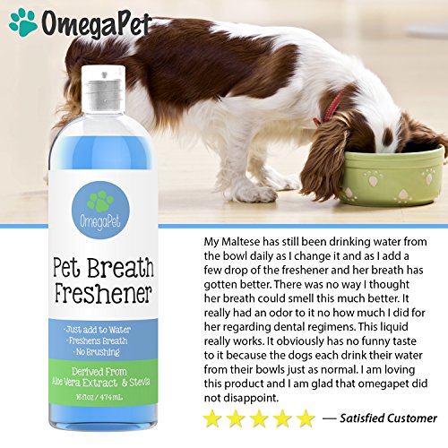 dog water breath freshener