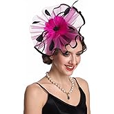 SAFERIN Fascinator for Women Hair Clip Hat Bowler Feather Flower Veil Wedding Party Hat Tea Hat