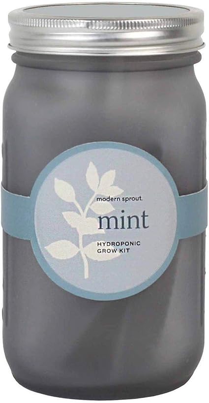 Amazon.com : Modern Sprout Garden Jar (Mint) : Garden & Outdoor